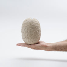 Carica l'immagine nel visualizzatore di Gallery, Gea (small - tall) Avorio