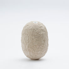 Carica l'immagine nel visualizzatore di Gallery, Gea (small - tall) Avorio