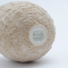 Carica l'immagine nel visualizzatore di Gallery, Gea (small - tall) Avorio