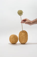 Carica l'immagine nel visualizzatore di Gallery, Gea (small - tall) Giallo