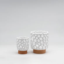 Carica l'immagine nel visualizzatore di Gallery, Febe (small)