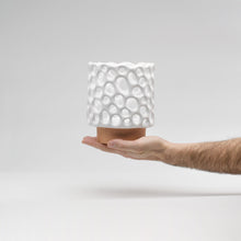 Carica l'immagine nel visualizzatore di Gallery, Febe (large)