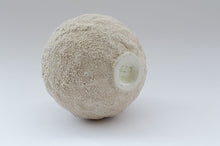 Carica l'immagine nel visualizzatore di Gallery, Gea (small - short) Avorio