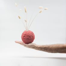 Carica l'immagine nel visualizzatore di Gallery, Gea (small - short) Rosso corallo