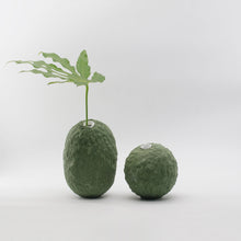 Carica l'immagine nel visualizzatore di Gallery, Gea (small - tall) Verde