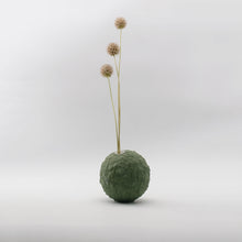 Carica l'immagine nel visualizzatore di Gallery, Gea (small - short) Verde