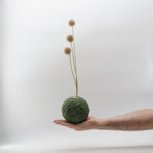 Carica l'immagine nel visualizzatore di Gallery, Gea (small - short) Verde