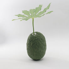 Carica l'immagine nel visualizzatore di Gallery, Gea (small - tall) Verde